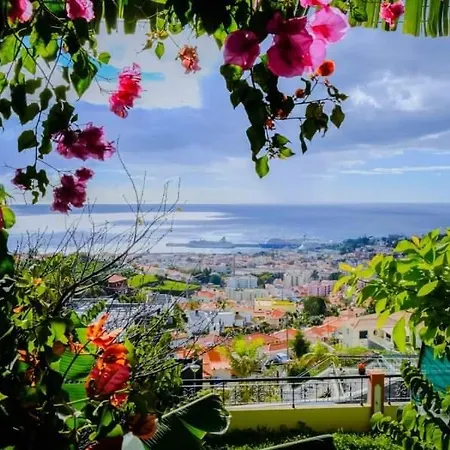 Granny'S House View Villa Funchal  Exterior photo